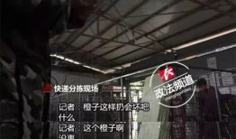 长沙爆料大全视频,揭秘城市热点事件幕后真相