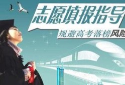 娱乐吃瓜君全球高考,揭秘娱乐界的“吃瓜”盛宴