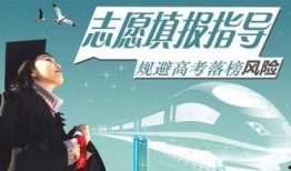 娱乐吃瓜君全球高考,揭秘娱乐界的“吃瓜”盛宴
