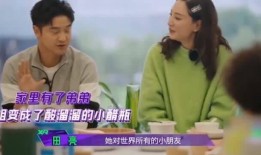 弟弟爆料模式视频,弟弟爆料模式视频幕后故事大揭秘