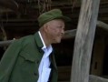 电影小等在线观看,揭秘网络时代的青春成长故事