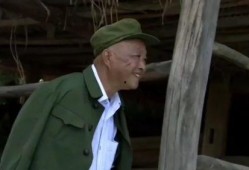 电影小等在线观看,揭秘网络时代的青春成长故事