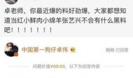 娱乐大爆料卓伟,娱乐圈幕后大事件大爆料