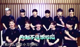 男团采访爆料视频,独家采访视频曝光惊人内幕