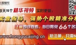 湖北卫视在线直播观看天生我财,财富智慧大碰撞