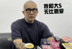 娱乐圈明星大s吃瓜汪小菲,娱乐圈的甜蜜瓜田