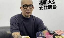 娱乐圈明星大s吃瓜汪小菲,娱乐圈的甜蜜瓜田