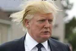 特朗普身体爆料视频,揭秘总统的日常与隐私