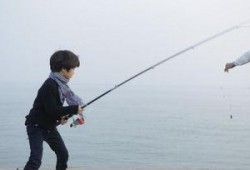 钓鱼爆料视频大全集最新,最新爆料视频大全集深度解析