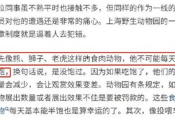 火腿爆料事件视频播放网站,揭秘视频播放网站背后的真相