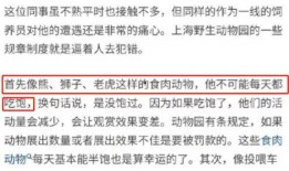 火腿爆料事件视频播放网站,揭秘视频播放网站背后的真相