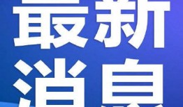 武汉极目新闻爆料事件最新,揭秘XX事件背后真相