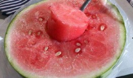 库尔勒吃瓜网红是谁啊,他是谁？