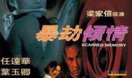 劫暴倾情在线观看,一场跨越时空的生死恋曲