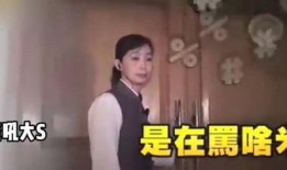 张兰爆料吸毒录音视频,张兰爆料录音视频揭露惊人吸毒真相