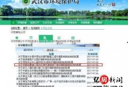 武汉城建最新爆料消息,未来城市蓝图揭秘，亮点纷呈！