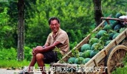 吃瓜最新合集在线观看免费,免费在线观看，揭秘娱乐圈幕后真相