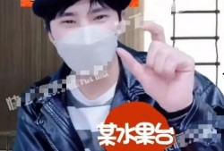 任嘉伦狗仔爆料视频,揭秘明星私生活幕后真相