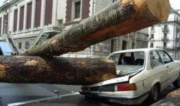 世界大瓜爆料视频搞笑车祸,笑料百出！世界大瓜搞笑车祸视频盘点