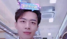 陈楚萧女友爆料视频,揭秘明星恋情背后的真相