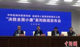 新都大丰新闻爆料,揭秘当地最新热点事件