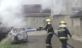 老刘爆料张大炮视频播放,张大炮视频播放背后的惊人真相