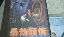 劫暴倾情在线观看,一场跨越时空的生死恋曲