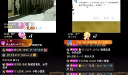 火腿爆料事件视频播放网站,揭秘视频播放网站背后的真相