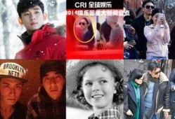 娱乐圈爆料2014,年度热点事件大盘点