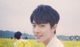 李沁和肖战的爆料视频,幕后故事与真实情感大公开