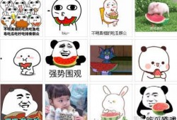 娱乐吃瓜酱三个词