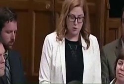 美国人深夜爆料新闻视频,美国人爆料最新热点新闻视频